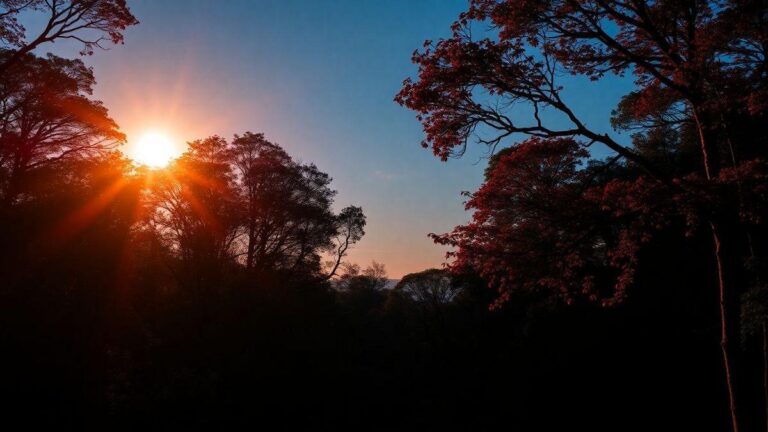 melhores-aglomerados-para-ver-no-outono
